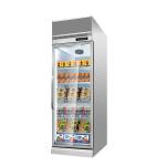 Commercial Plug In Upright Cooler And Freezer Glass Door Display Showcase