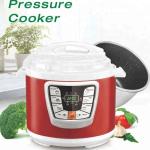Multipurpose pot cooker hot selling big electrical stainless steel pressure