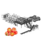 Aseptic Concentrated Tomato Sauce Machine With Large Bag