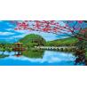 Buy cheap PLASTIC LENTICULAR 3d lenticular flip picture 3d moving pictures from wholesalers