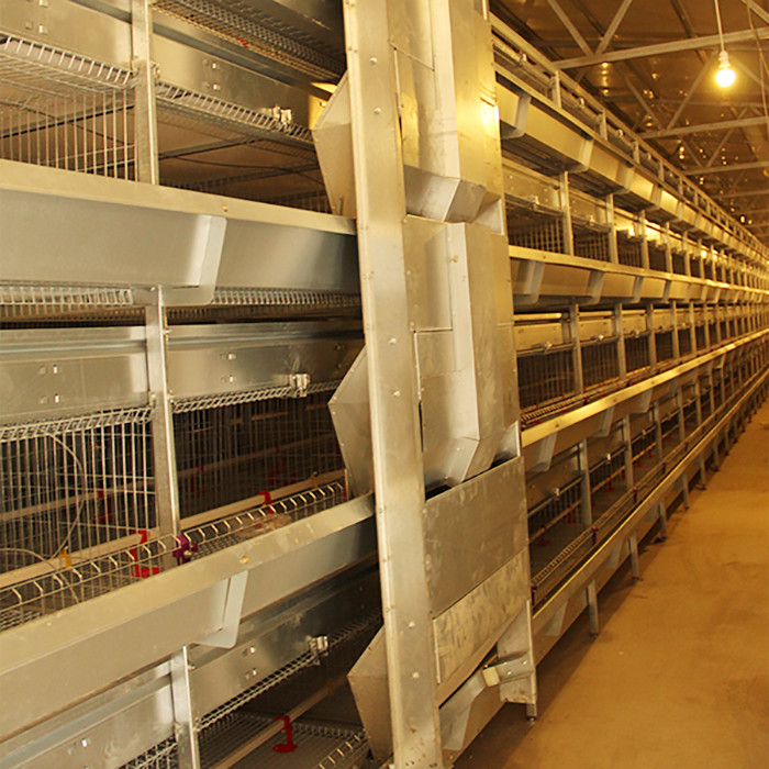 H Type 4 Tier Modern Poultry Cages , 120CM Easy To Install Building Chicken Cages