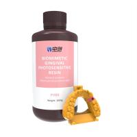 Buy cheap Biomimetic Gingival Photosensitive Resin Surgical Training Models Gum Resin product
