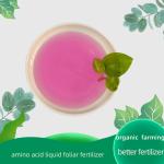 High Phenylalanine Potassium Vegetable Amino Acid Fertilizer Liquid Black Or