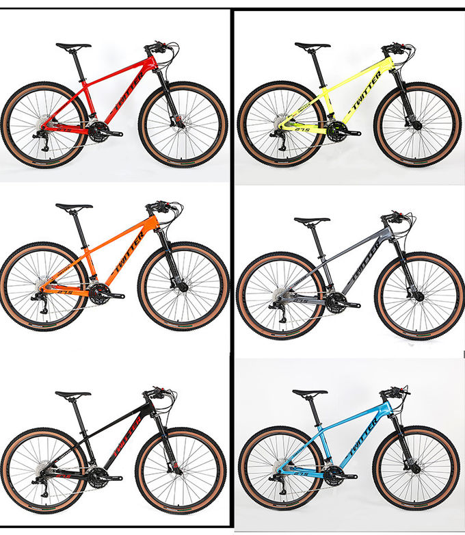 OEM 30 Speed 29er Carbon Fiber Mountain Bike For Men And Women