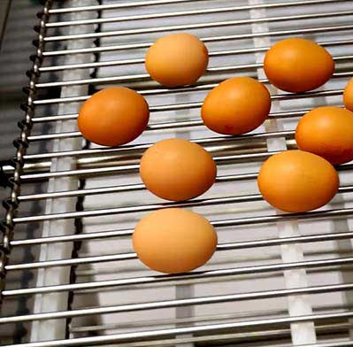Stainless Steel 304 Wire Mesh Conveyor Belt 30cm Width 10m Length