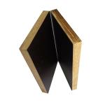 Eucalyptus Phenolic Black Film Faced Plywood For Construction