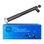 Air Suspension Shock For Mercedes-Benz W212 2010-2016 E- CLASS Rear Left Long