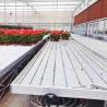 Buy cheap Aluminum Alloy Galvanized Steel Frame Greenhouse Rolling Tables Total Length＞ 7.5 from wholesalers