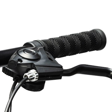 250W 750w Electric City Bike 16.5AH Battery Dual Motor For Adults
