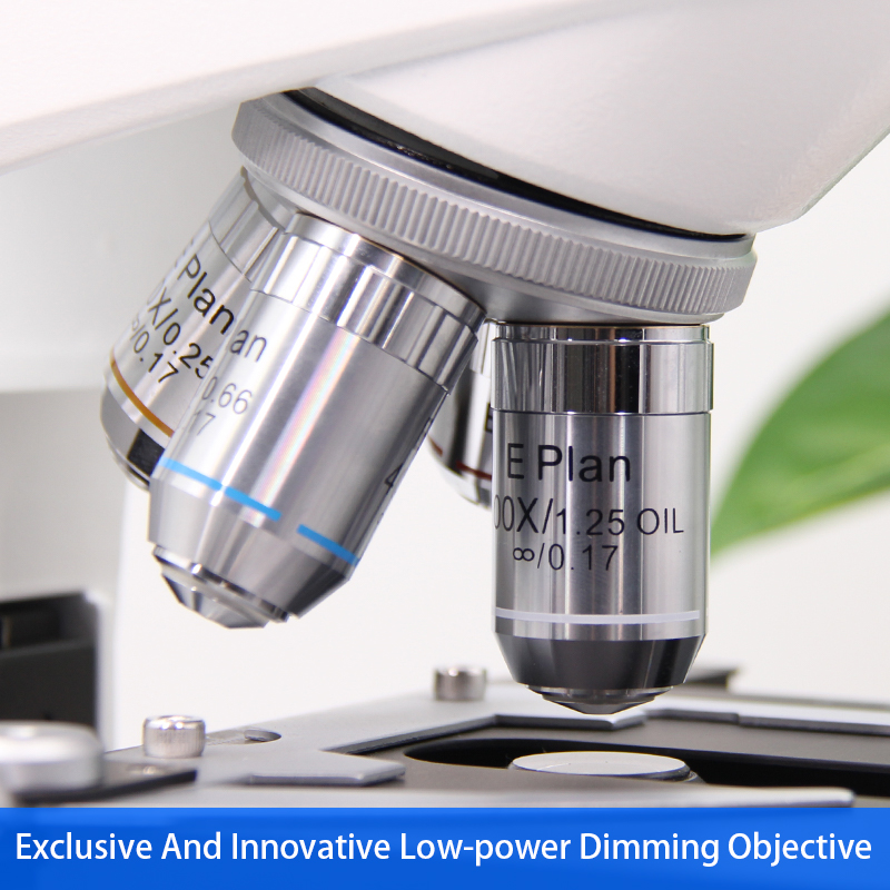 Student 1000X Compound Optical Microscope Laboratory Capillary Microscope