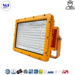 IP66 IK10 Waterproof Dust-proof Explosion Proof Flood Light For Heavy Industry