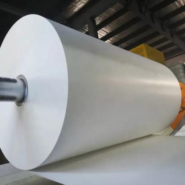 Buy cheap Flexographic Print PE Coated Cup Paper Cup Raw Material from wholesalers