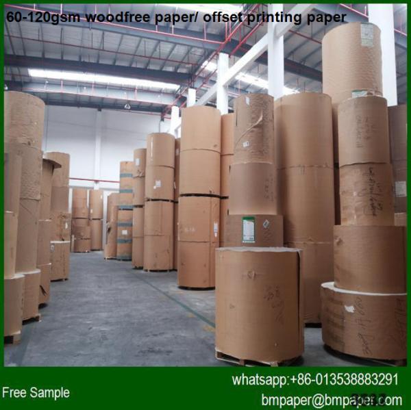 Buy cheap Ivory Woodfree Offset Paper Cardboard / Fbb Board from wholesalers