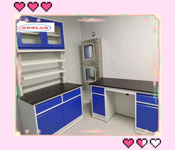 Buy cheap 80kg Chemistry Lab Bench Laboratory Caseworks with High Environmental Friendliness from wholesalers