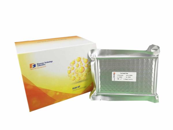 Buy cheap Strong Specificity ELISA Assay Kit for Mouse ACV-A ELISA Kit 96 Wells 48 Wells from wholesalers