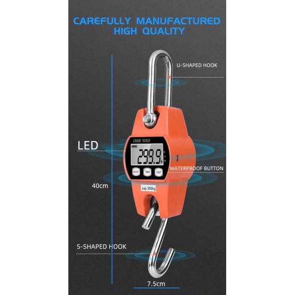 Customized Support LCD Display Beichen Electric Hanging Crane Luggage Weight Scale 300kg Mini Crane Scales