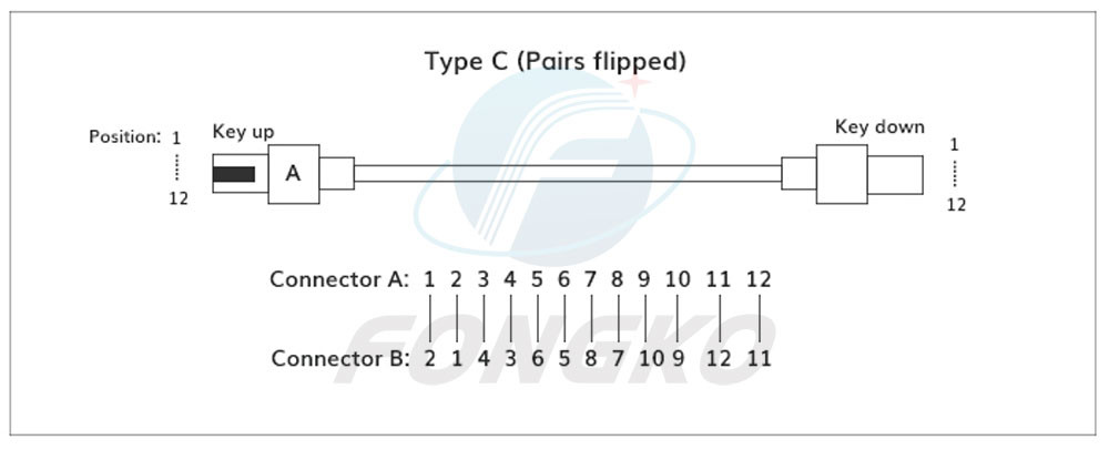 Single Mode 0.9mm lc MPO To SC Mtp Fanout Cable 0.5m 12 Fiber