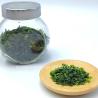 Buy cheap Nutritious Food Processing Sea Lettuce Powder Aonori Dried Seaweed from wholesalers