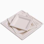 8 Inch Bagasse Square Plates Large Disposable Dinner Plates Water Resistant