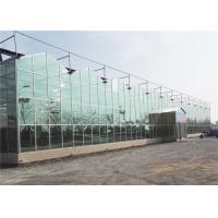 Buy cheap Modern Design Agricultural Glass Greenhouse 3m - 6m Side Height Long Service product