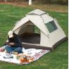 Buy cheap Outdoor foldable and quick - opening park tent from wholesalers