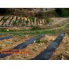 Buy cheap weed barrier for agriculture, weed killer fabric, agricultural anti weed mat, dust control weed mat from wholesalers