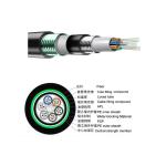 PE Jacket Direct Burial Armored Fiber Optic Cable , GYTS53 Underground Optical