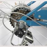 Classic Customized Logo Carbon City Bike 6 Speed Puncture Resistant for Riders