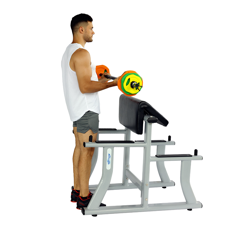 Curl Bicep Exercise Free Weight Dumbbell Arm Curl Biceps Strength Machine Training Rack Stand Exercise Bench