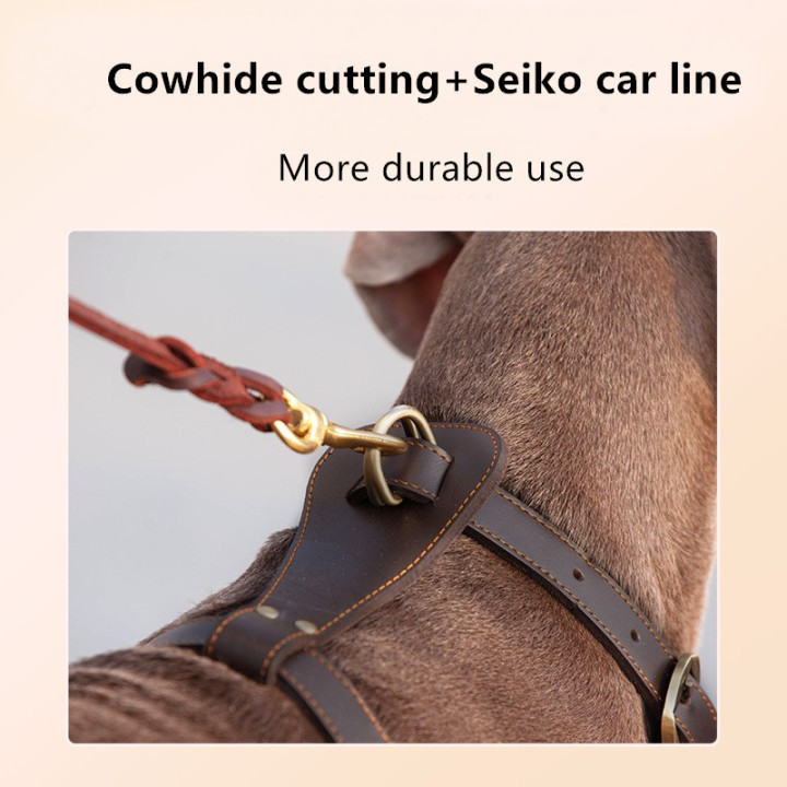 leather cat harness