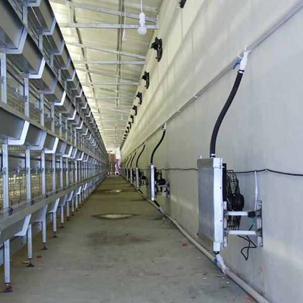 Buy cheap Large Breeding Poultry Exhibition Cages , 120 * 60 * 59CM Chicken Isolation Cage from wholesalers