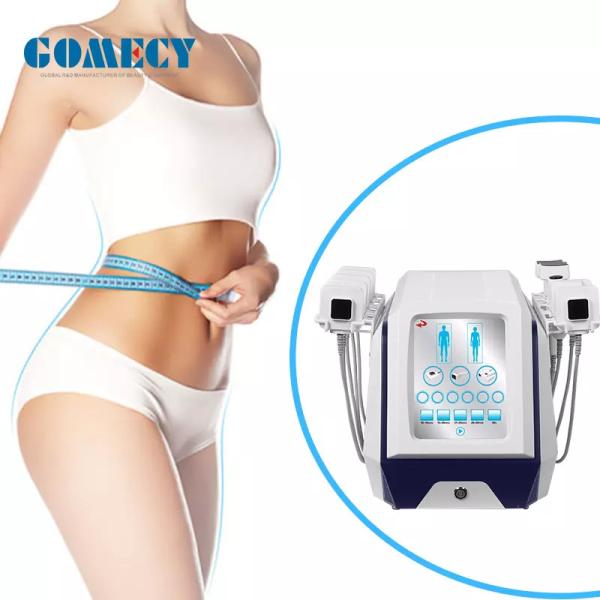 Buy cheap Portable True Sculpting ID Body Slimming Fat Burning Machine Belly Shaping Fat Loss Machine from wholesalers