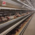 A Type 4 Tiers / Floors 128, 160 Birds Per Set Poultry Layer Cage For Laying