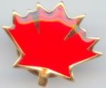Metal pin, lapel pin, football pin, emblem, enamel badge, printing badge,