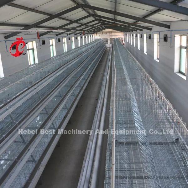 Buy cheap 20000 Birds Chicken Farming Cage System Used In Birds Laying Mia from wholesalers