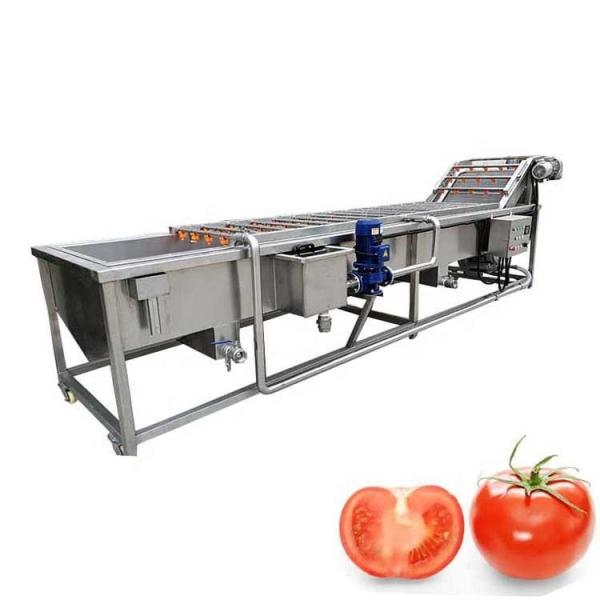 Buy cheap 9.4kw Lavadora de Frutas y Verduras con Burbujas de Aire Limpieza de Brócoli y Berenjena from wholesalers
