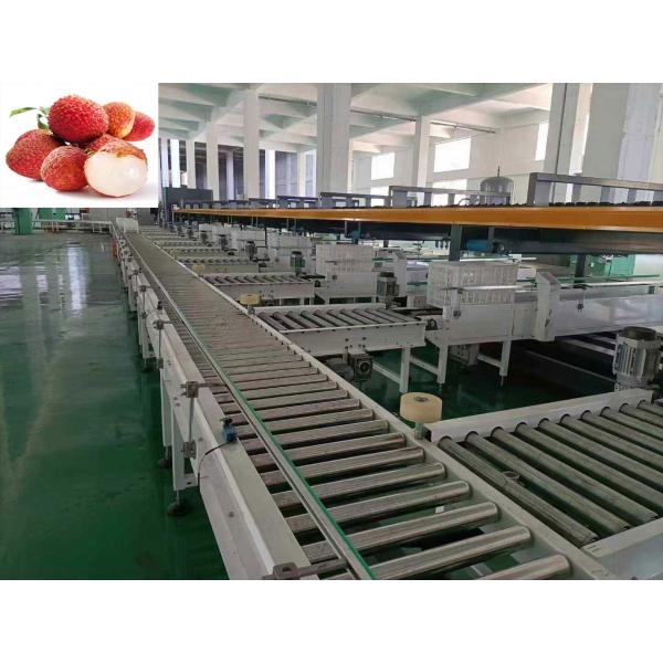 Quality Precise Fruit Grading Machine Intelligent 3 Channel For Litchi for sale