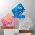 Clear Acrylic Award Lucite Plaque Awards For Business Anniversary Recognition