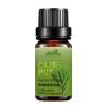 Buy cheap White Cosmetic Essential Oils 10ml Melaleuca Pure Essential Oils MSDS from wholesalers