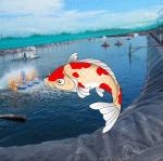 White HDPE Geomembrane Liners for Aquaculture Pond Reservoir Dam 0.2mm-3mm