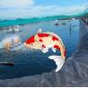Buy cheap Waterproof HDPE Geomembrane Liners for Aquaculture Pond in Black White Green and Blue from wholesalers