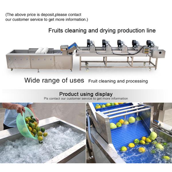Fruits cleaning and drying production line Fruit Vegetable FOOD processing production Machine