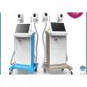 Buy cheap Cryopolysis 1800W big handle size working together vacuum weight loss machine from wholesalers