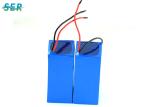 Customized Electric Bike Battery 24v 10Ah , 18650 Bicycle Battery Pack 500 Cycle