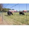 Buy cheap 2.0mm Dia Galvanized Fixed Knot Wire Farm Fencing from wholesalers