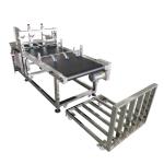 Corrugated Carton Feeder Machine Stainless Steel Carton Feeder Machine High