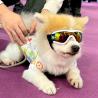 Buy cheap Dog Goggles Material Small Medium Pets UV Protection Wind and Sand Resistance from wholesalers