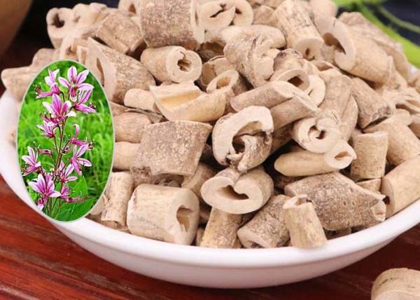 Natural Plant Herbal Chinese Traditional Medicine , Root Of Cortex Dictamni