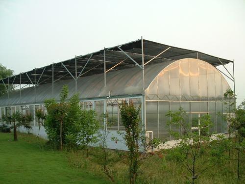 Buy cheap Vegetable Single Span Greenhouse , Gothic Arch Greenhouse Low Thermal Conductivity from wholesalers
