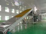 DWF Series Conveyor Belt Dryer large capacity high efficiency